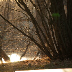 Nature and Landscapes