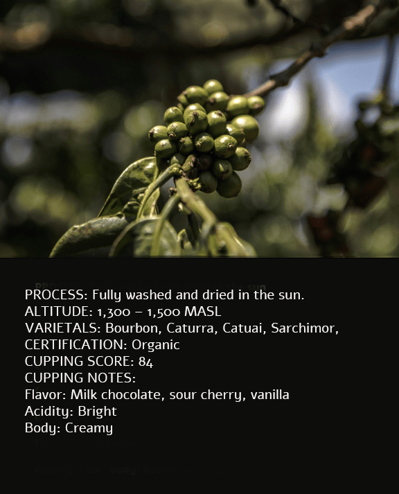 Guatemala Specialty Coffee